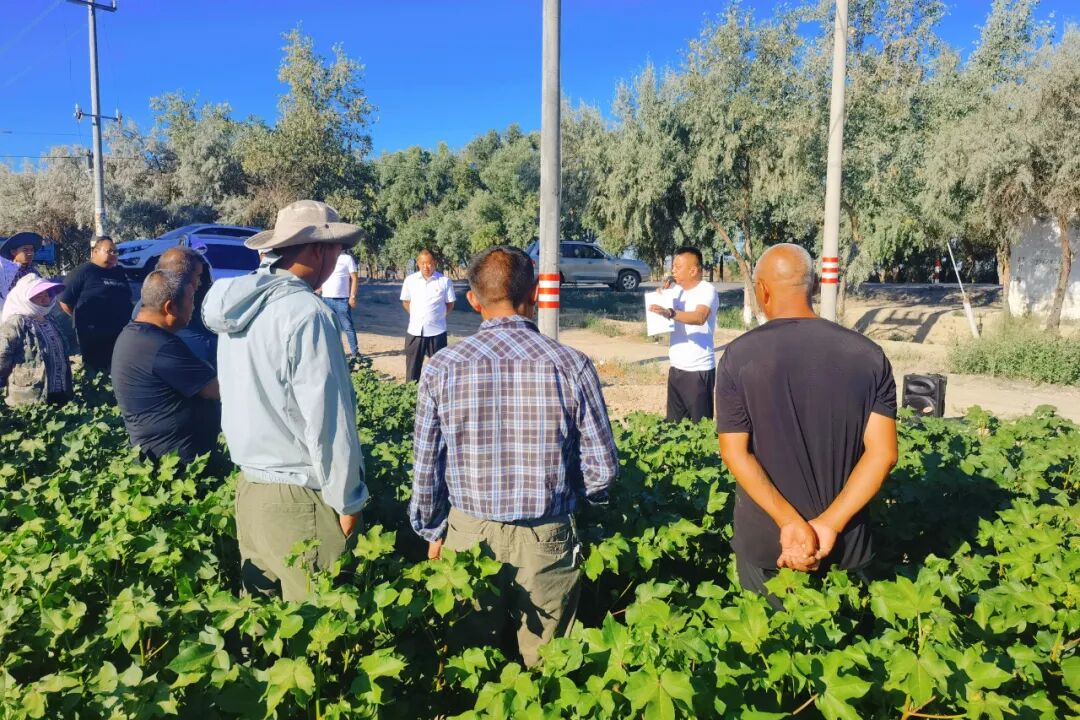 张新林_(张梓琳比基尼长腿图片)  第2张