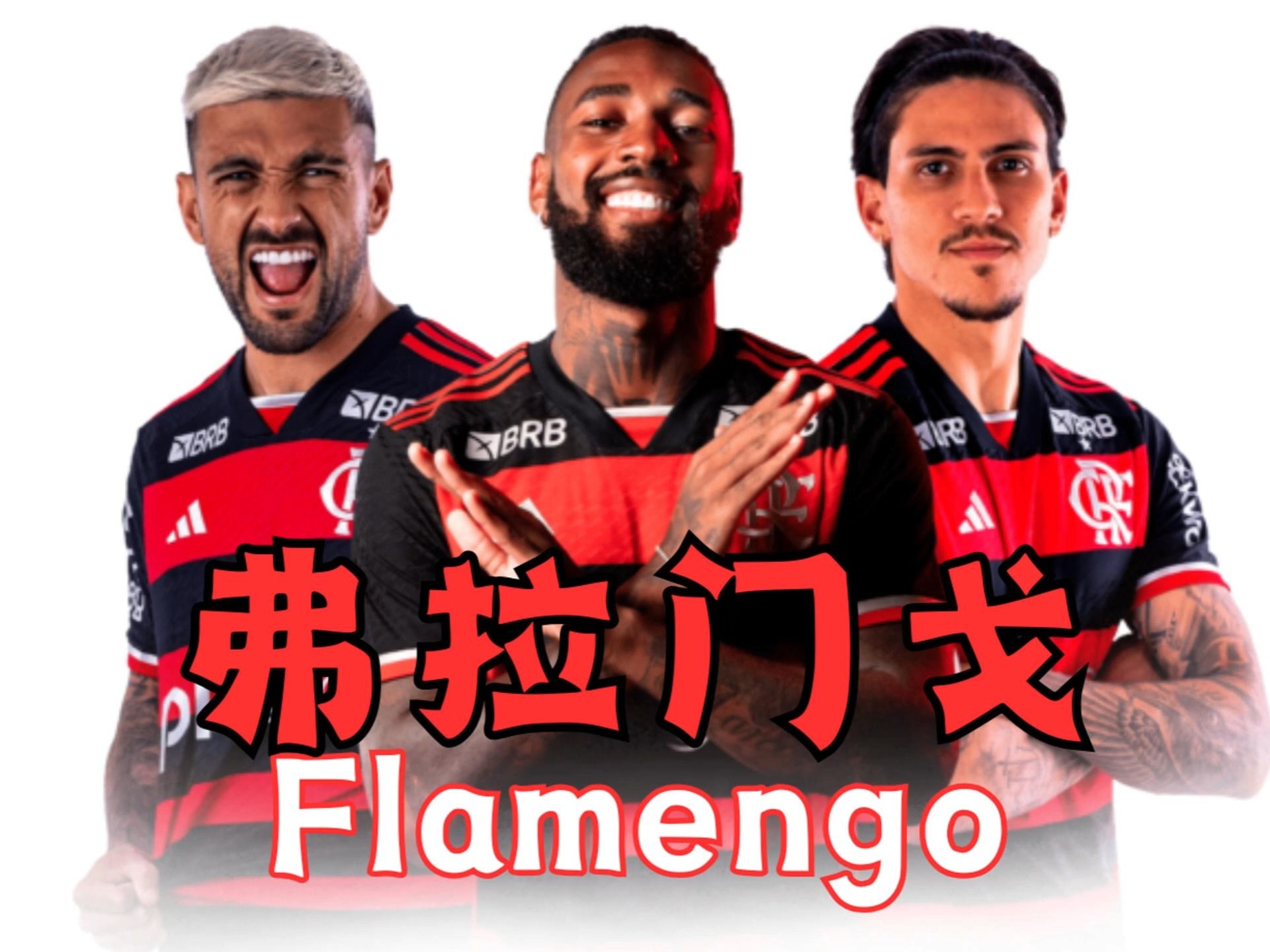 关于世俱杯B组最新积分排名榜巴甲球队博塔弗戈登顶的信息  第1张