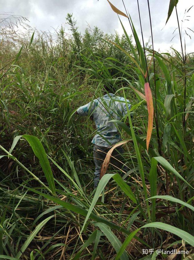 坦桑超：喷泉门VS坦桑尼亚监狱的简单介绍  第2张