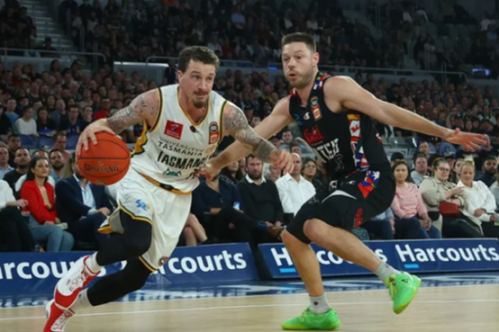 NBL:珀斯野猫VS塔斯马尼亚跳伞蚁的简单介绍  第2张