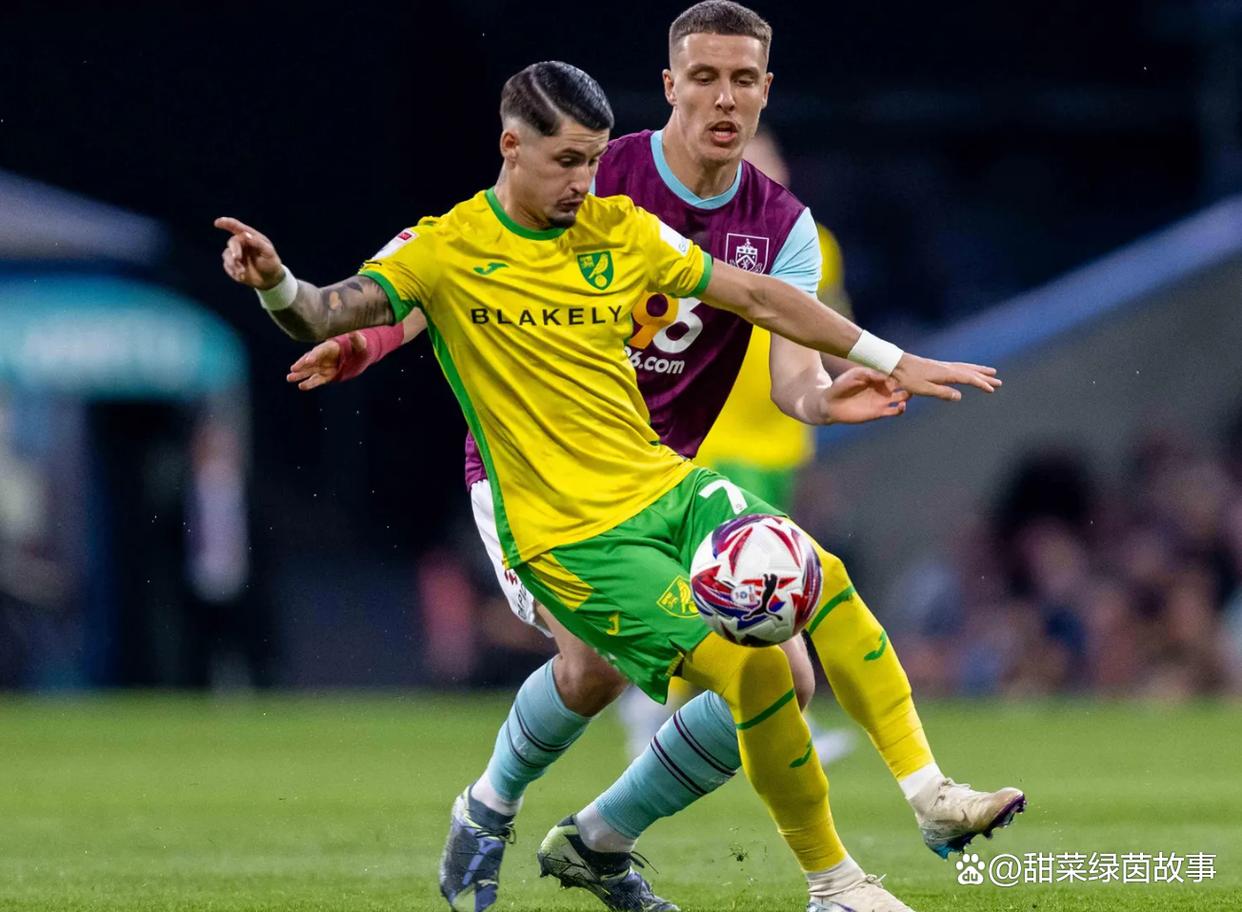 英冠米德尔斯堡vs斯旺西前瞻分析新赛季首轮双方寻求首胜的简单介绍 第2张 英冠米德尔斯堡vs斯旺西前瞻分析新赛季首轮双方寻求首胜的简单介绍 第2张