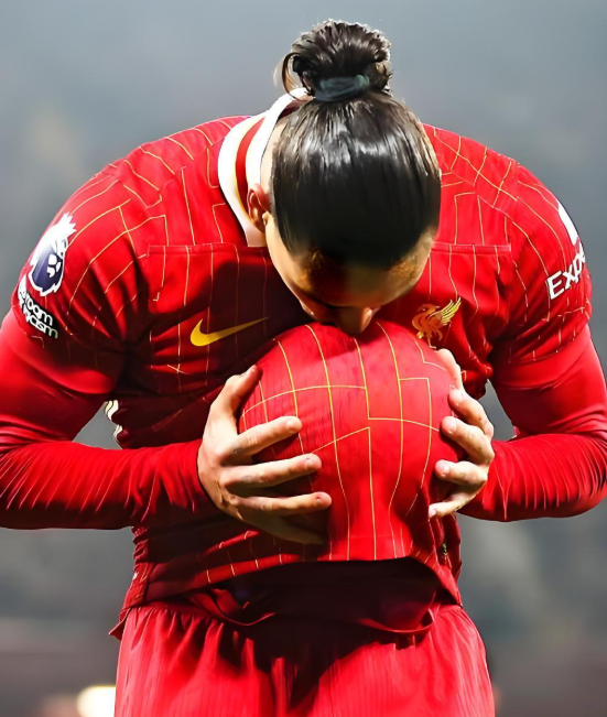 关于曝努涅斯得到沙特球队关注利物浦愿意放人的信息  第1张