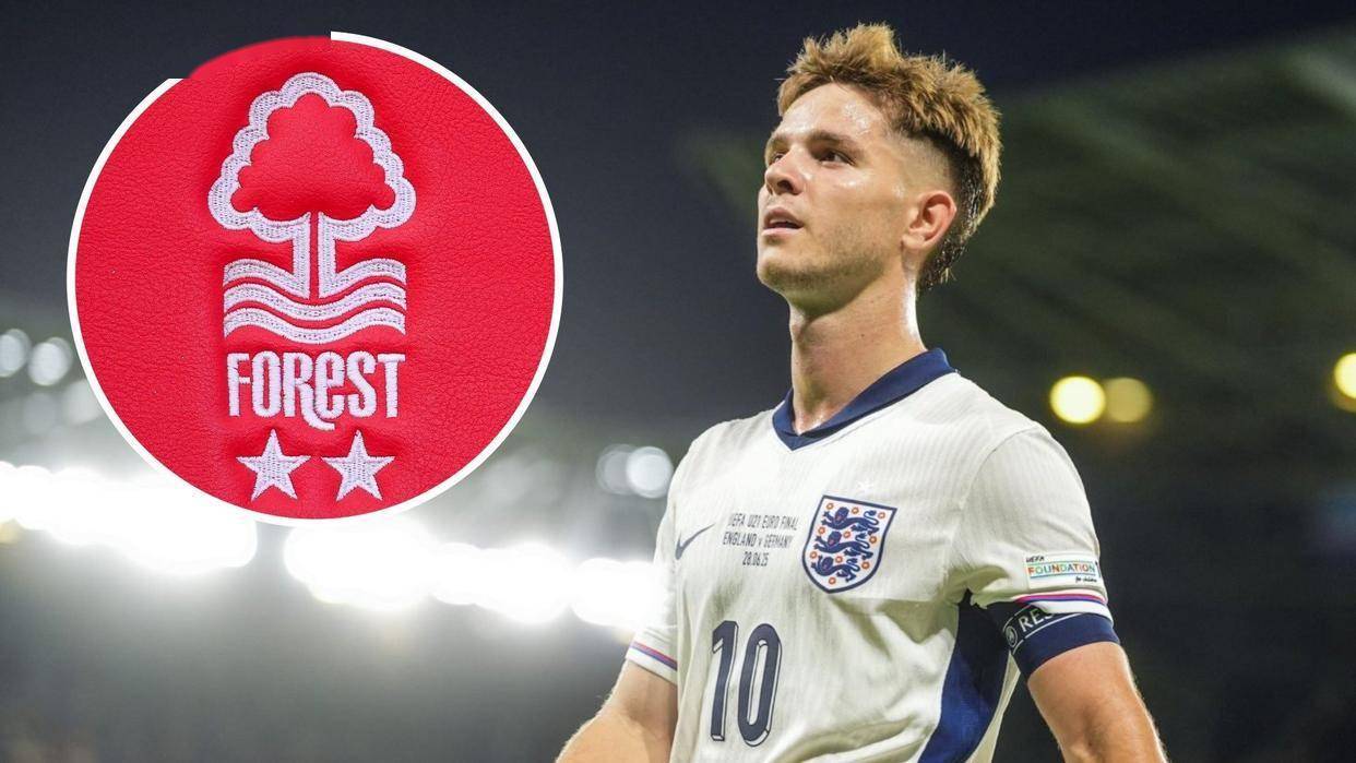 包含曝哈钦森可能加盟诺丁汉森林转会费3750万镑的词条  第1张