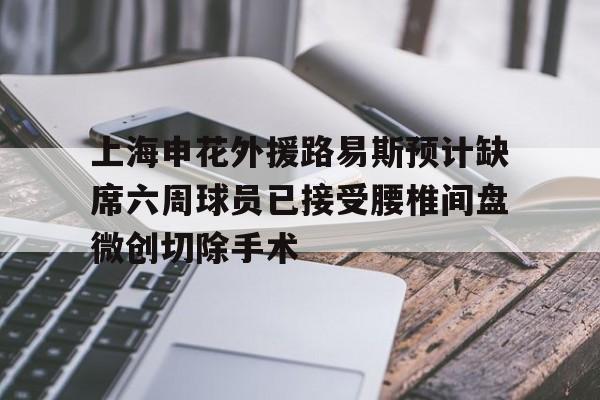 包含上海申花外援路易斯预计缺席六周球员已接受腰椎间盘微创切除手术的词条 第1张 包含上海申花外援路易斯预计缺席六周球员已接受腰椎间盘微创切除手术的词条 第1张