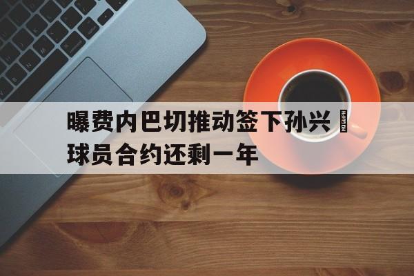 关于曝费内巴切推动签下孙兴慜球员合约还剩一年的信息 第1张 关于曝费内巴切推动签下孙兴慜球员合约还剩一年的信息 第1张