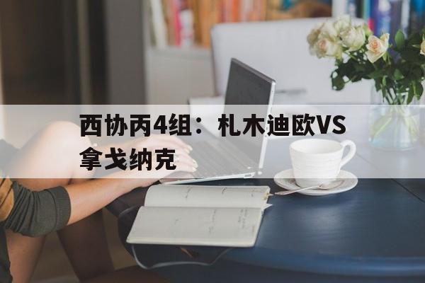 西协丙4组：札木迪欧VS拿戈纳克的简单介绍  第1张