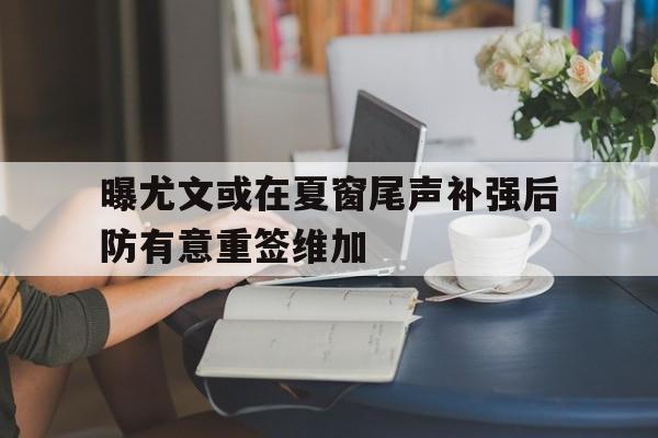 曝尤文或在夏窗尾声补强后防有意重签维加的简单介绍